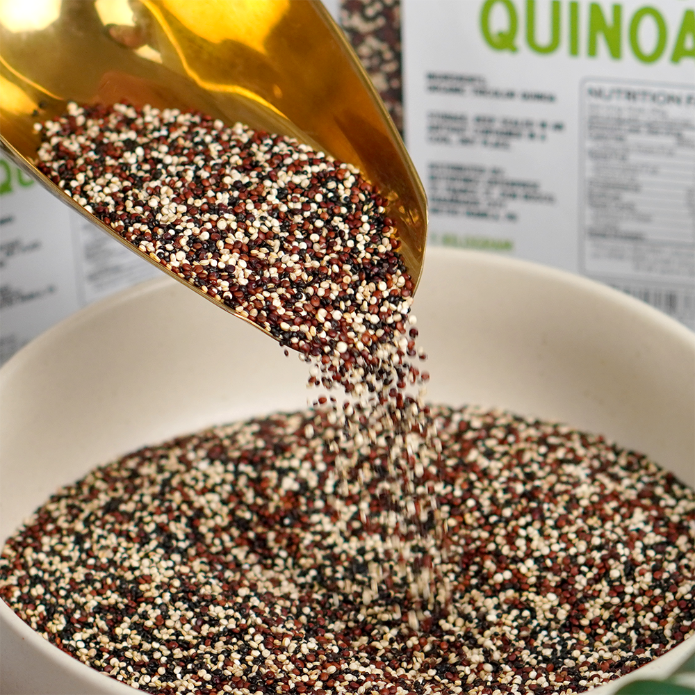 Quinoa - Tricolor thumbnail 2